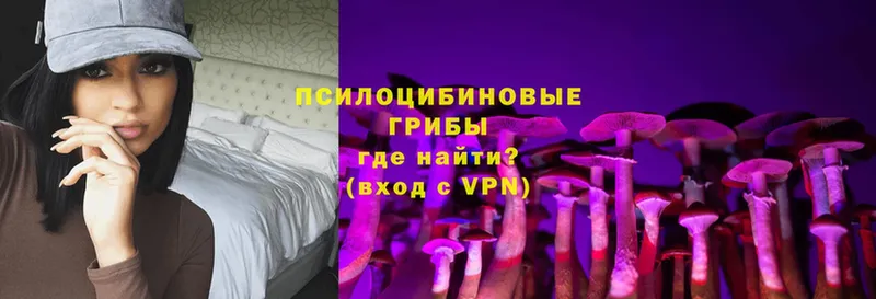 Галлюциногенные грибы Psilocybe  сайты даркнета состав  Баксан 